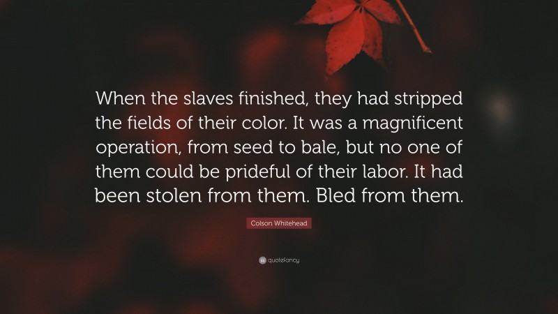 Colson Whitehead Quote: “When the slaves finished, they had stripped the fields of their color. It was a magnificent operation, from seed to bale, but no one of them could be prideful of their labor. It had been stolen from them. Bled from them.”