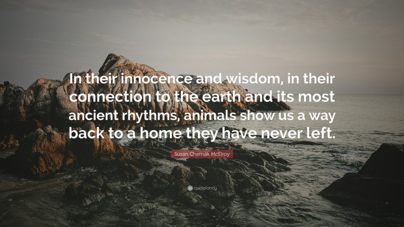 Susan Chernak McElroy Quote: “In their innocence and wisdom, in their connection to the earth and its most ancient rhythms, animals show us a way back to a home they have never left.”
