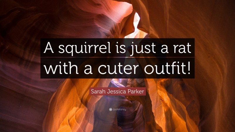 Sarah Jessica Parker Quote: “A squirrel is just a rat with a cuter outfit!”