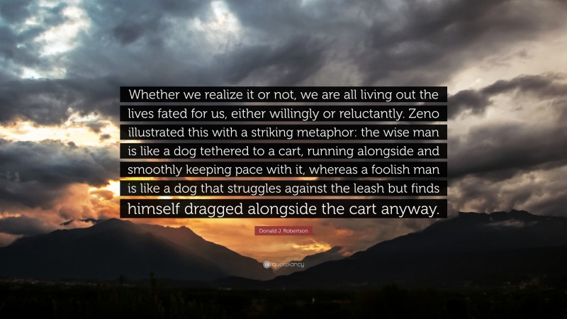 Donald J. Robertson Quote: “Whether we realize it or not, we are all living out the lives fated for us, either willingly or reluctantly. Zeno illustrated this with a striking metaphor: the wise man is like a dog tethered to a cart, running alongside and smoothly keeping pace with it, whereas a foolish man is like a dog that struggles against the leash but finds himself dragged alongside the cart anyway.”
