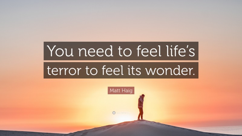 Matt Haig Quote: “You need to feel life’s terror to feel its wonder.”