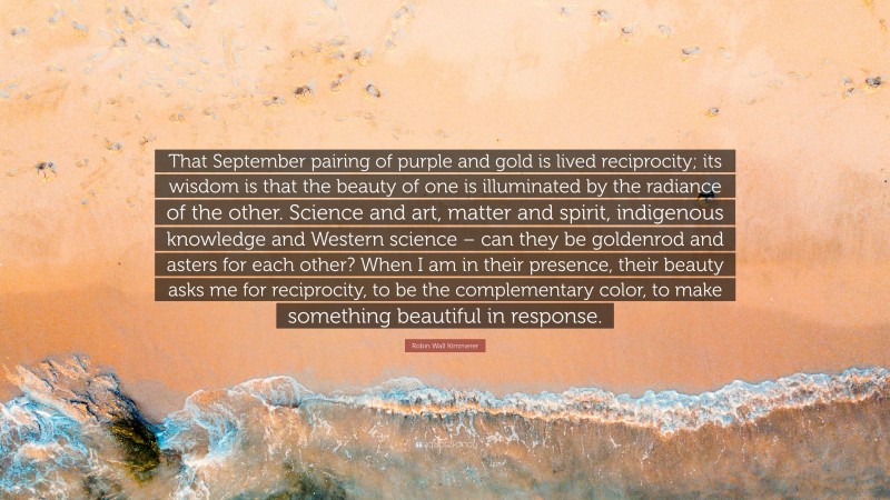 Robin Wall Kimmerer Quote: “That September pairing of purple and gold is lived reciprocity; its wisdom is that the beauty of one is illuminated by the radiance of the other. Science and art, matter and spirit, indigenous knowledge and Western science – can they be goldenrod and asters for each other? When I am in their presence, their beauty asks me for reciprocity, to be the complementary color, to make something beautiful in response.”
