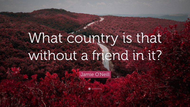 Jamie O'Neill Quote: “What country is that without a friend in it?”