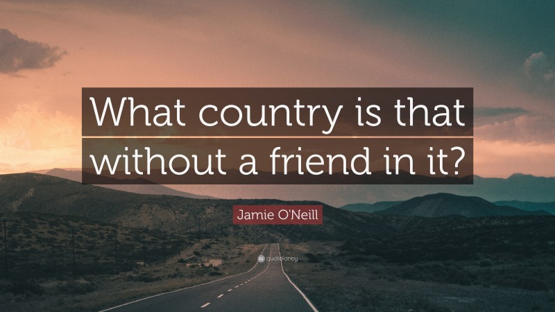 Jamie O'Neill Quote: “What country is that without a friend in it?”