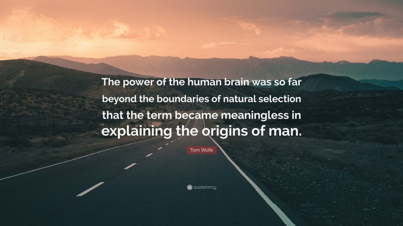 Tom Wolfe Quote: “The power of the human brain was so far beyond the boundaries of natural selection that the term became meaningless in explaining the origins of man.”