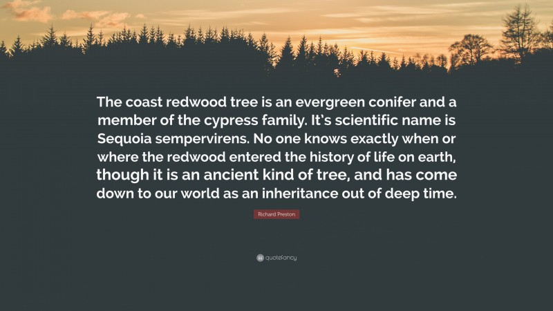 Richard Preston Quote: “The coast redwood tree is an evergreen conifer and a member of the cypress family. It’s scientific name is Sequoia sempervirens. No one knows exactly when or where the redwood entered the history of life on earth, though it is an ancient kind of tree, and has come down to our world as an inheritance out of deep time.”