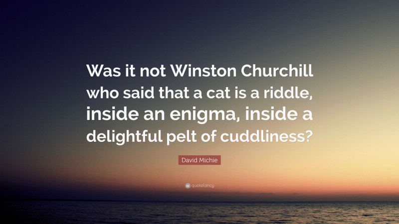 David Michie Quote: “Was it not Winston Churchill who said that a cat is a riddle, inside an enigma, inside a delightful pelt of cuddliness?”