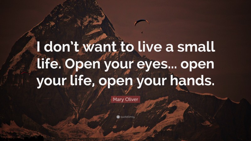 Mary Oliver Quote: “I don’t want to live a small life. Open your eyes... open your life, open your hands.”