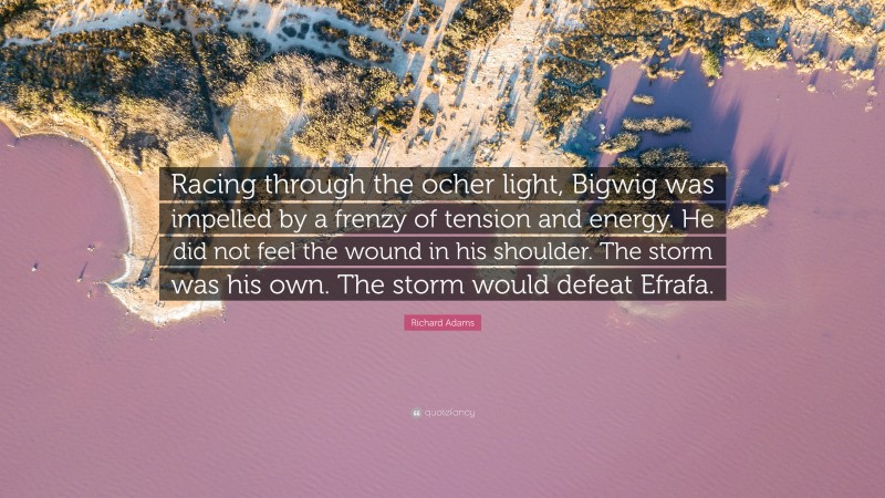 Richard Adams Quote: “Racing through the ocher light, Bigwig was impelled by a frenzy of tension and energy. He did not feel the wound in his shoulder. The storm was his own. The storm would defeat Efrafa.”