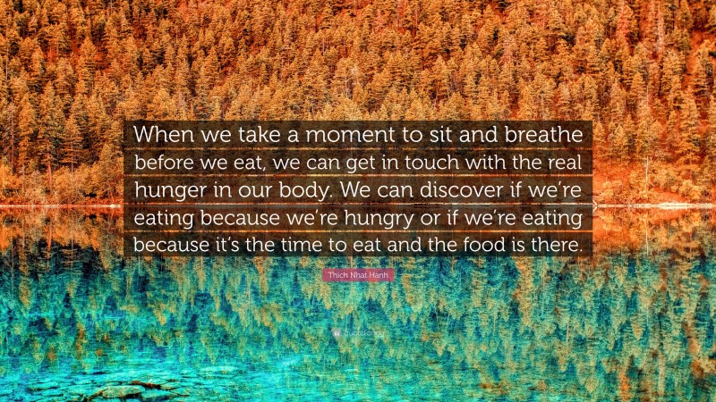 Thich Nhat Hanh Quote: “When we take a moment to sit and breathe before we eat, we can get in touch with the real hunger in our body. We can discover if we’re eating because we’re hungry or if we’re eating because it’s the time to eat and the food is there.”