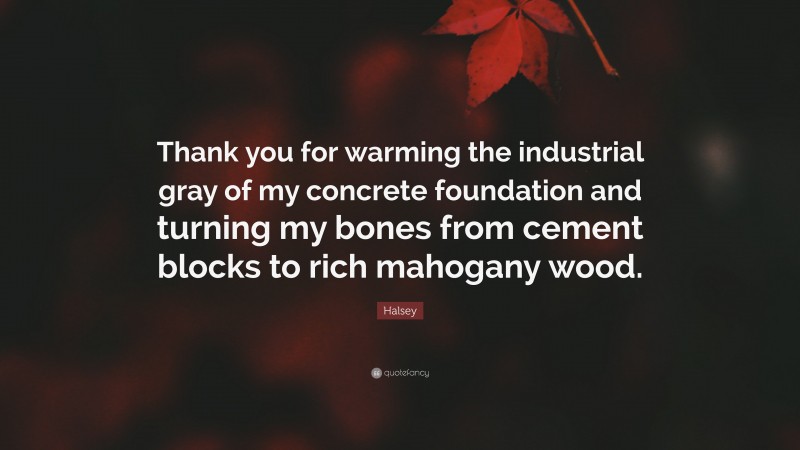 Halsey Quote: “Thank you for warming the industrial gray of my concrete foundation and turning my bones from cement blocks to rich mahogany wood.”