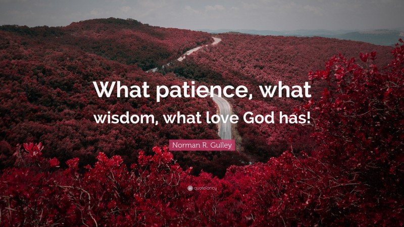 Norman R. Gulley Quote: “What patience, what wisdom, what love God has!”