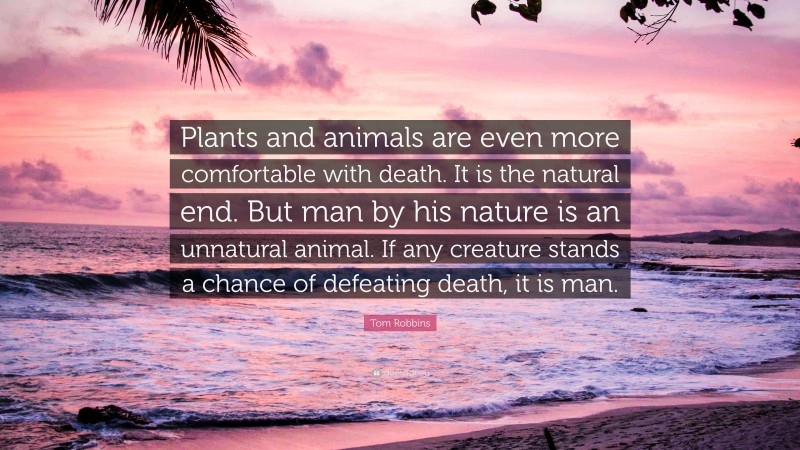 Tom Robbins Quote: “Plants and animals are even more comfortable with death. It is the natural end. But man by his nature is an unnatural animal. If any creature stands a chance of defeating death, it is man.”