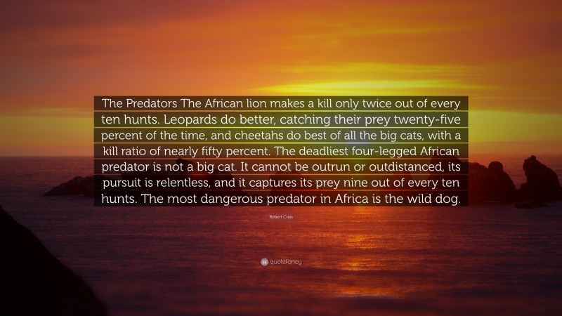 Robert Crais Quote: “The Predators The African lion makes a kill only twice out of every ten hunts. Leopards do better, catching their prey twenty-five percent of the time, and cheetahs do best of all the big cats, with a kill ratio of nearly fifty percent. The deadliest four-legged African predator is not a big cat. It cannot be outrun or outdistanced, its pursuit is relentless, and it captures its prey nine out of every ten hunts. The most dangerous predator in Africa is the wild dog.”