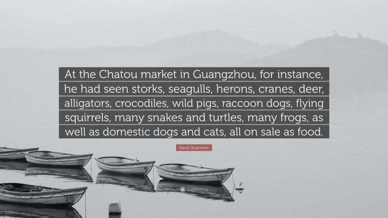 David Quammen Quote: “At the Chatou market in Guangzhou, for instance, he had seen storks, seagulls, herons, cranes, deer, alligators, crocodiles, wild pigs, raccoon dogs, flying squirrels, many snakes and turtles, many frogs, as well as domestic dogs and cats, all on sale as food.”