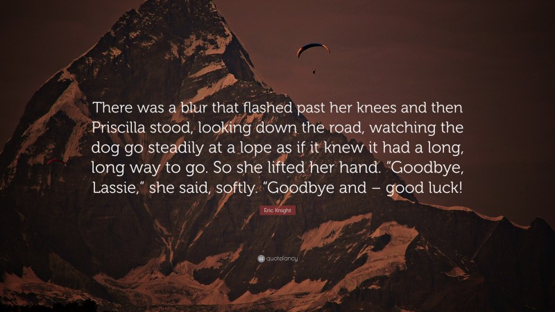 Eric Knight Quote: “There was a blur that flashed past her knees and then Priscilla stood, looking down the road, watching the dog go steadily at a lope as if it knew it had a long, long way to go. So she lifted her hand. “Goodbye, Lassie,” she said, softly. “Goodbye and – good luck!”