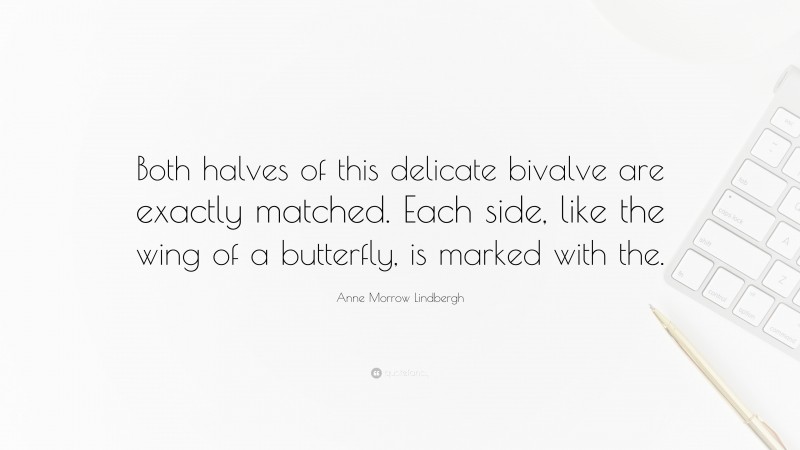 Anne Morrow Lindbergh Quote: “Both halves of this delicate bivalve are exactly matched. Each side, like the wing of a butterfly, is marked with the.”