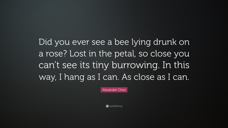Alexander Chee Quote: “Did you ever see a bee lying drunk on a rose? Lost in the petal, so close you can’t see its tiny burrowing. In this way, I hang as I can. As close as I can.”