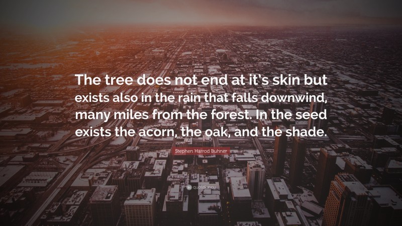 Stephen Harrod Buhner Quote: “The tree does not end at it’s skin but exists also in the rain that falls downwind, many miles from the forest. In the seed exists the acorn, the oak, and the shade.”