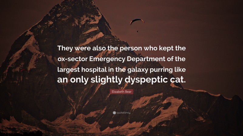 Elizabeth Bear Quote: “They were also the person who kept the ox-sector Emergency Department of the largest hospital in the galaxy purring like an only slightly dyspeptic cat.”