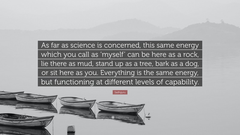Sadhguru Quote: “As far as science is concerned, this same energy which you call as ‘myself’ can be here as a rock, lie there as mud, stand up as a tree, bark as a dog, or sit here as you. Everything is the same energy, but functioning at different levels of capability.”