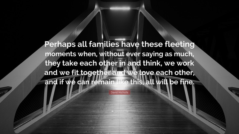 David Nicholls Quote: “Perhaps all families have these fleeting moments when, without ever saying as much, they take each other in and think, we work and we fit together and we love each other, and if we can remain like this, all will be fine.”