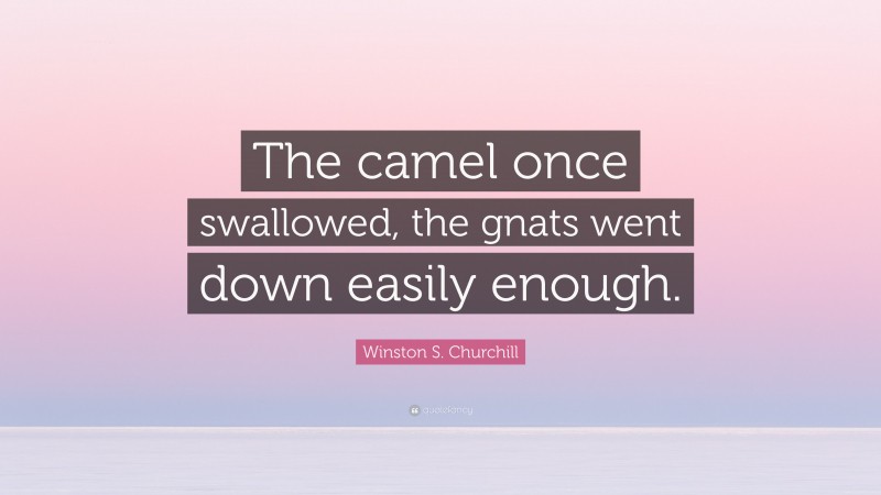 Winston S. Churchill Quote: “The camel once swallowed, the gnats went down easily enough.”