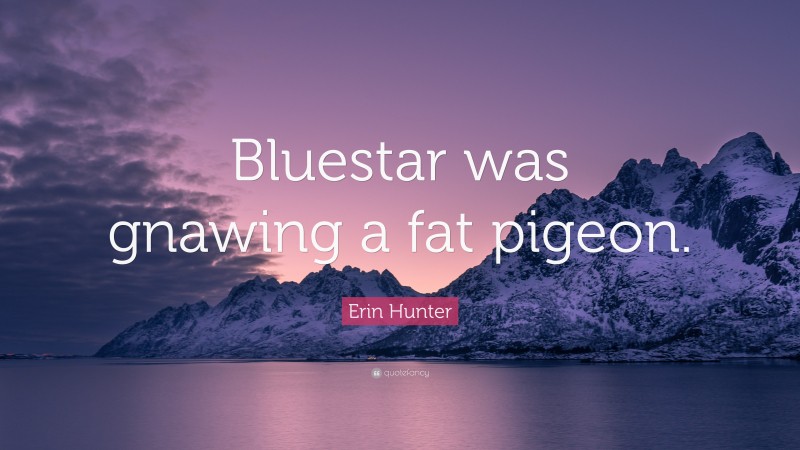 Erin Hunter Quote: “Bluestar was gnawing a fat pigeon.”