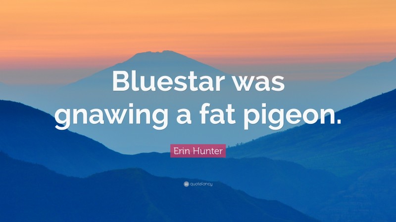 Erin Hunter Quote: “Bluestar was gnawing a fat pigeon.”