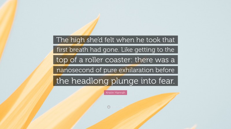Kristin Hannah Quote: “The high she’d felt when he took that first breath had gone. Like getting to the top of a roller coaster: there was a nanosecond of pure exhilaration before the headlong plunge into fear.”
