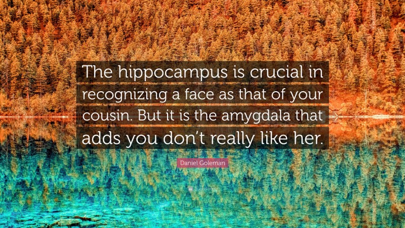 Daniel Goleman Quote: “The hippocampus is crucial in recognizing a face as that of your cousin. But it is the amygdala that adds you don’t really like her.”
