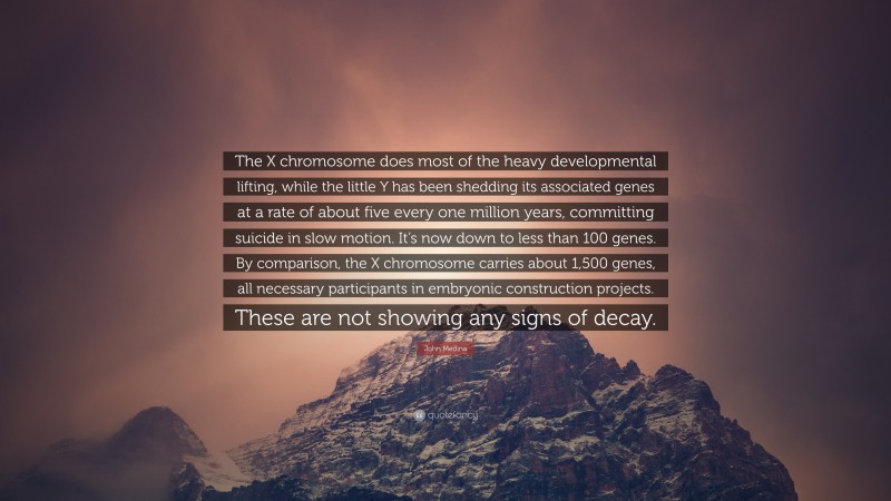 John Medina Quote: “The X chromosome does most of the heavy developmental lifting, while the little Y has been shedding its associated genes at a rate of about five every one million years, committing suicide in slow motion. It’s now down to less than 100 genes. By comparison, the X chromosome carries about 1,500 genes, all necessary participants in embryonic construction projects. These are not showing any signs of decay.”