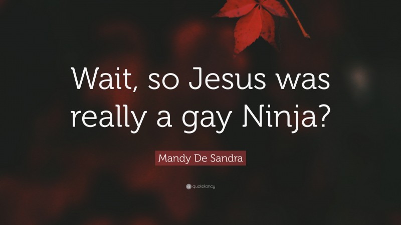 Mandy De Sandra Quote: “Wait, so Jesus was really a gay Ninja?”