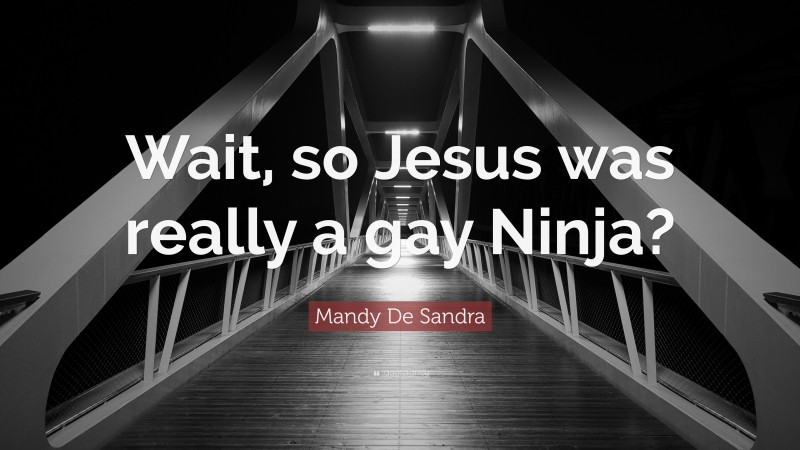 Mandy De Sandra Quote: “Wait, so Jesus was really a gay Ninja?”