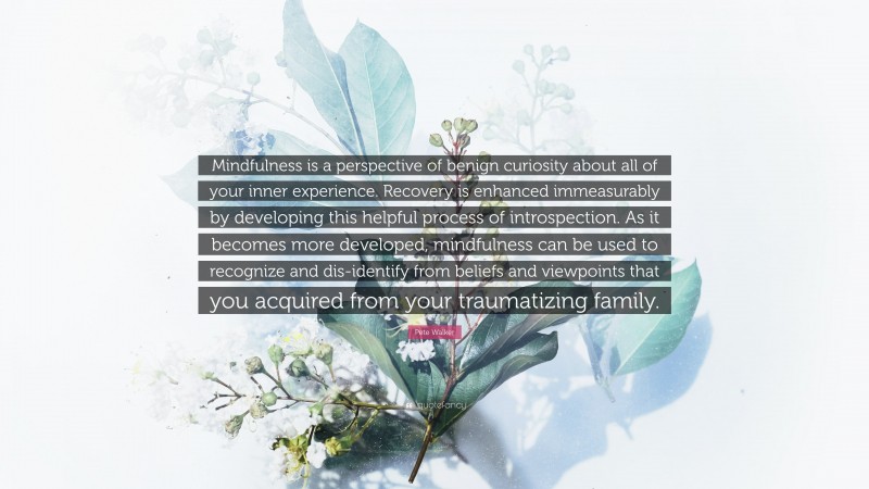Pete Walker Quote: “Mindfulness is a perspective of benign curiosity about all of your inner experience. Recovery is enhanced immeasurably by developing this helpful process of introspection. As it becomes more developed, mindfulness can be used to recognize and dis-identify from beliefs and viewpoints that you acquired from your traumatizing family.”