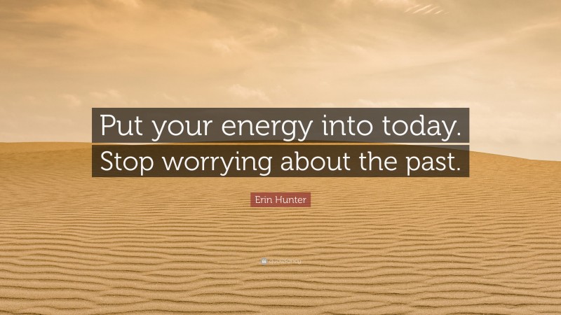 Erin Hunter Quote: “Put your energy into today. Stop worrying about the past.”
