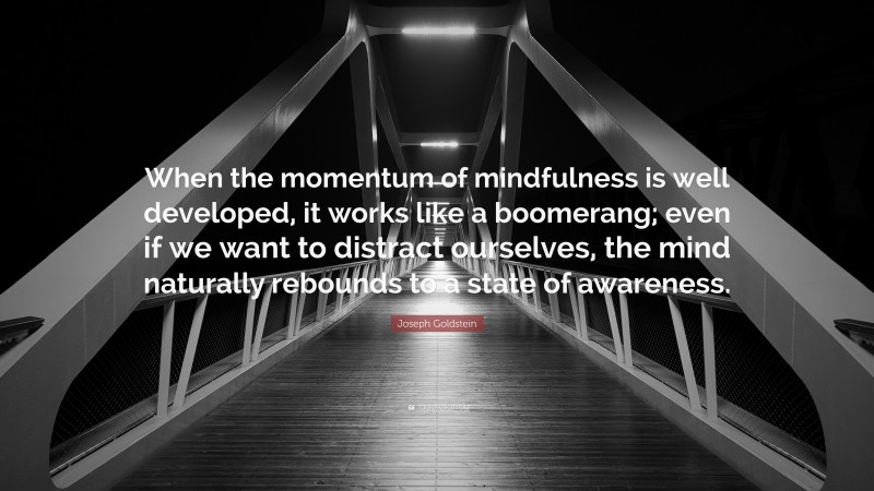 Joseph Goldstein Quote: “When the momentum of mindfulness is well developed, it works like a boomerang; even if we want to distract ourselves, the mind naturally rebounds to a state of awareness.”