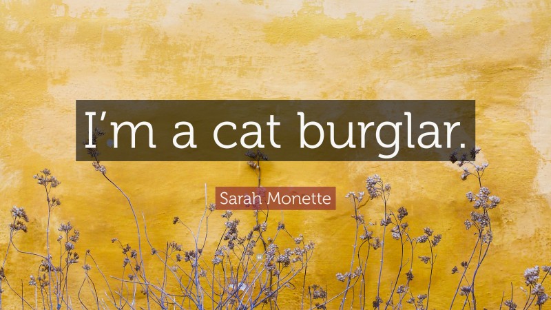 Sarah Monette Quote: “I’m a cat burglar.”