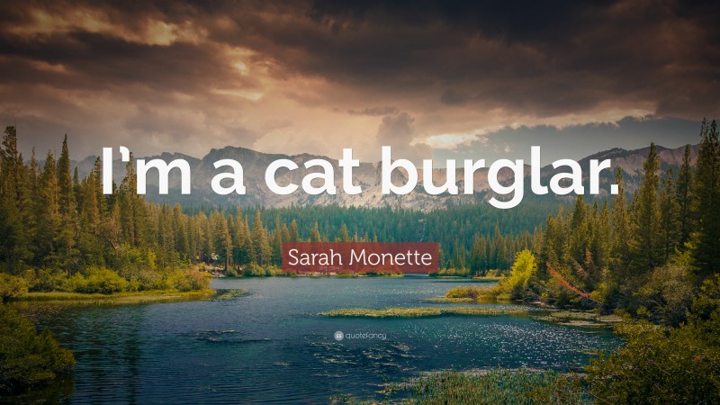 Sarah Monette Quote: “I’m a cat burglar.”