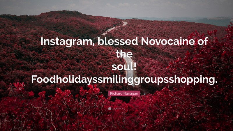 Richard Flanagan Quote: “Instagram, blessed Novocaine of the soul! Foodholidayssmilinggroupsshopping.”