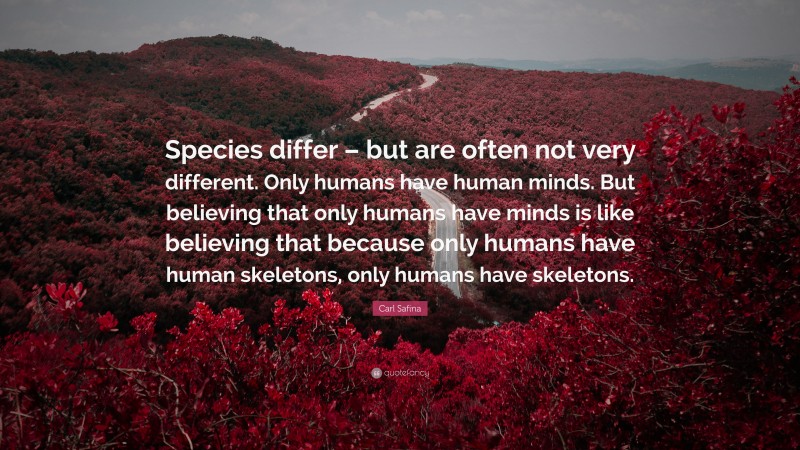 Carl Safina Quote: “Species differ – but are often not very different. Only humans have human minds. But believing that only humans have minds is like believing that because only humans have human skeletons, only humans have skeletons.”