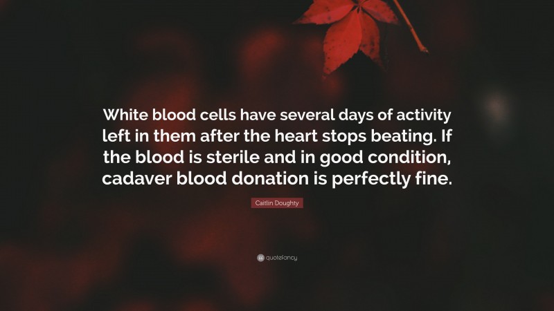 Caitlin Doughty Quote: “White blood cells have several days of activity left in them after the heart stops beating. If the blood is sterile and in good condition, cadaver blood donation is perfectly fine.”