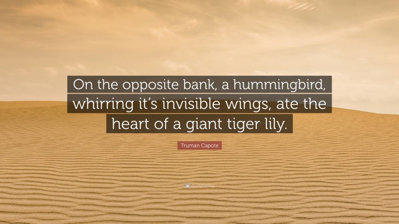 Truman Capote Quote: “On the opposite bank, a hummingbird, whirring it’s invisible wings, ate the heart of a giant tiger lily.”