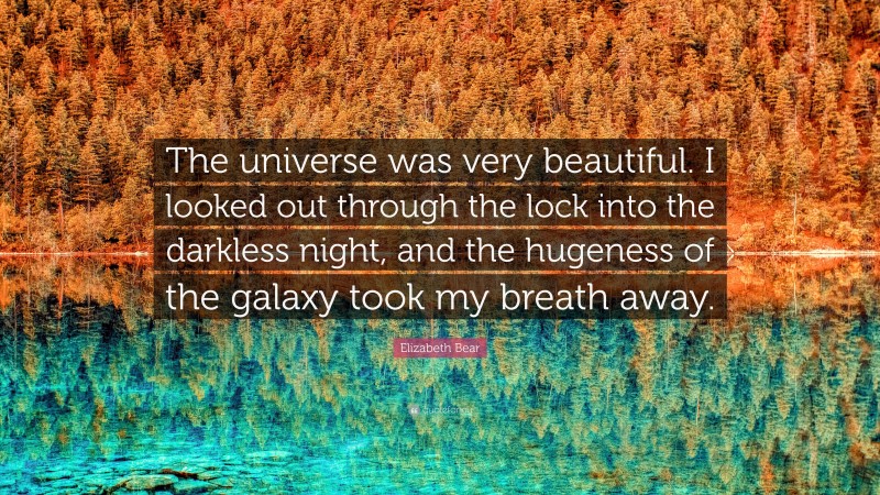 Elizabeth Bear Quote: “The universe was very beautiful. I looked out through the lock into the darkless night, and the hugeness of the galaxy took my breath away.”