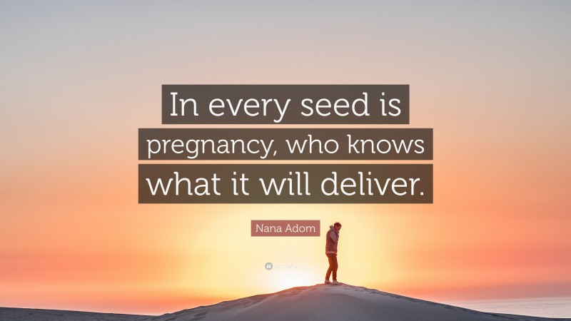 Nana Adom Quote: “In every seed is pregnancy, who knows what it will deliver.”