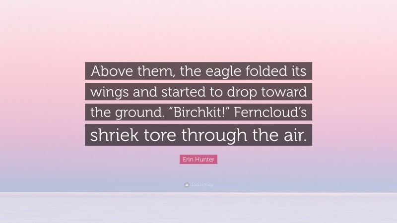 Erin Hunter Quote: “Above them, the eagle folded its wings and started to drop toward the ground. “Birchkit!” Ferncloud’s shriek tore through the air.”