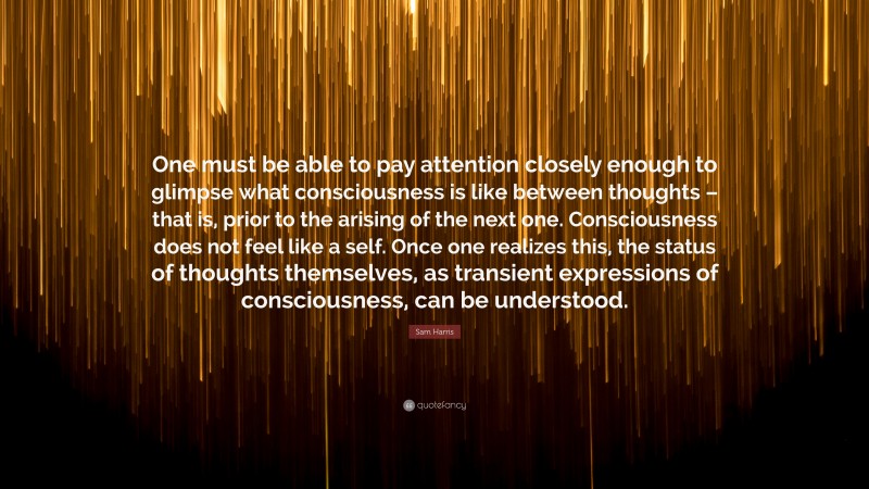 Sam Harris Quote: “One must be able to pay attention closely enough to glimpse what consciousness is like between thoughts – that is, prior to the arising of the next one. Consciousness does not feel like a self. Once one realizes this, the status of thoughts themselves, as transient expressions of consciousness, can be understood.”