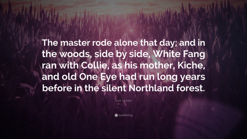 Jack London Quote: “The master rode alone that day; and in the woods, side by side, White Fang ran with Collie, as his mother, Kiche, and old One Eye had run long years before in the silent Northland forest.”