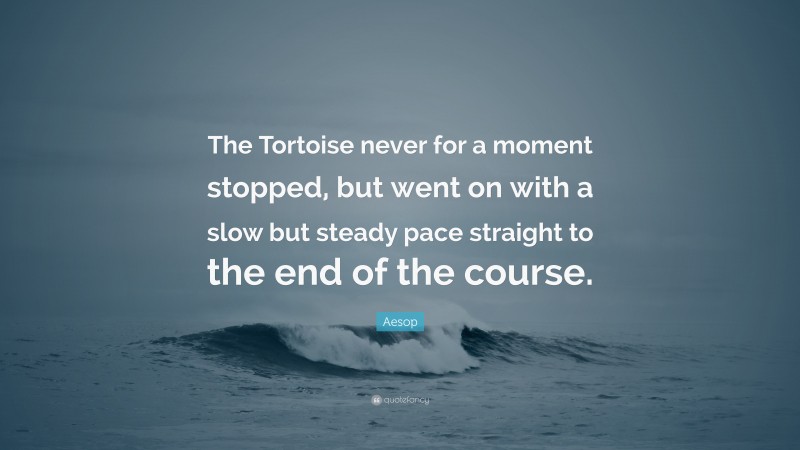 Aesop Quote: “The Tortoise never for a moment stopped, but went on with a slow but steady pace straight to the end of the course.”