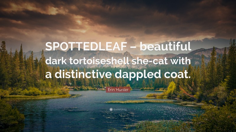 Erin Hunter Quote: “SPOTTEDLEAF – beautiful dark tortoiseshell she-cat with a distinctive dappled coat.”